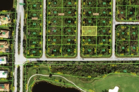 Terrain à vendre à Port Charlotte, Floride № 2228654 - photo 2