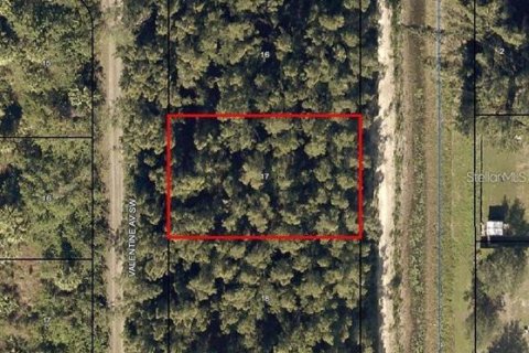 Land in Palm Bay, Florida № 2228799