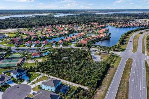 Land in Palm Coast, Florida № 1759801 - photo 6