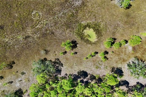 Land in Perry, Florida № 2166635 - photo 26