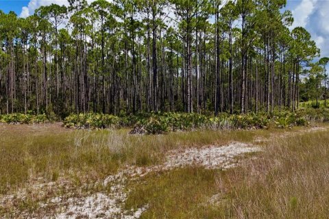 Land in Perry, Florida № 2166635 - photo 2