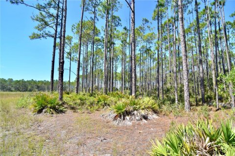 Land in Perry, Florida № 2166635 - photo 7