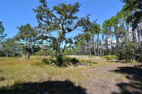 Land in Perry, Florida № 2166635 - photo 10