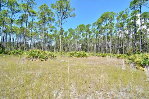 Land in Perry, Florida № 2166635 - photo 9