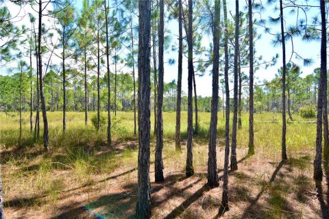 Land in Perry, Florida № 2166635 - photo 13