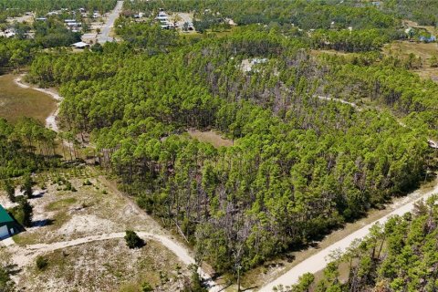 Land in Perry, Florida № 2166635 - photo 15