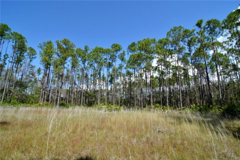 Land in Perry, Florida № 2166635 - photo 5