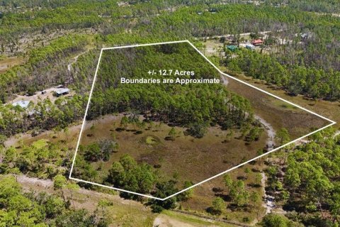 Land in Perry, Florida № 2166635 - photo 28