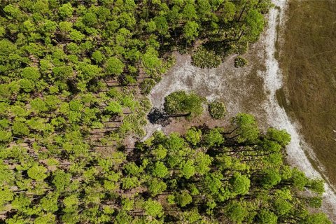 Land in Perry, Florida № 2166635 - photo 19