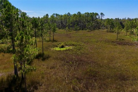 Land in Perry, Florida № 2166635 - photo 18