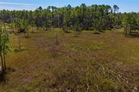 Land in Perry, Florida № 2166635 - photo 20