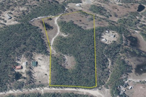 Land in Perry, Florida № 2166635 - photo 29
