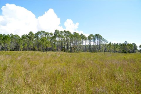 Land in Perry, Florida № 2166635 - photo 27
