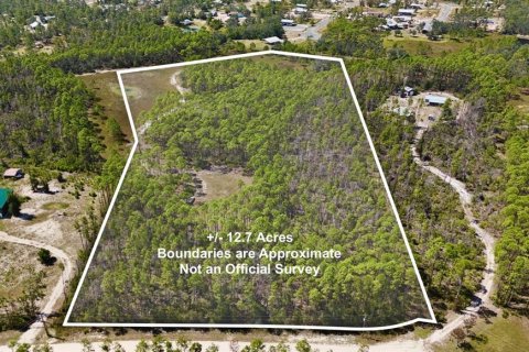 Land in Perry, Florida № 2166635
