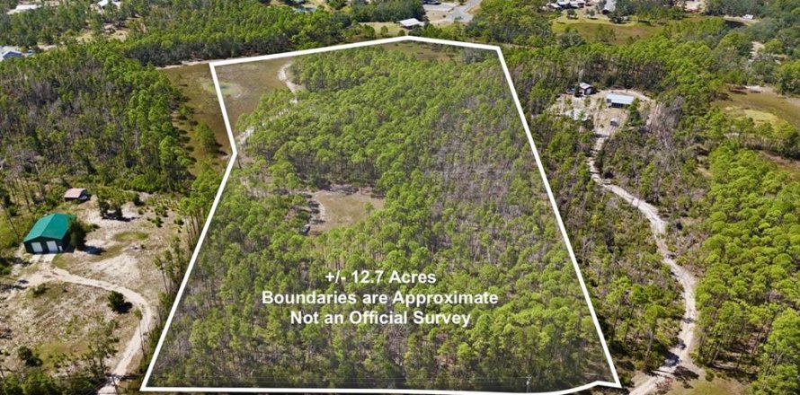 Land in Perry, Florida № 2166635