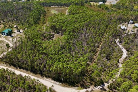 Land in Perry, Florida № 2166635 - photo 14