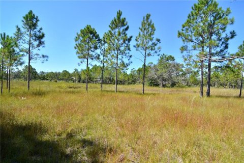 Land in Perry, Florida № 2166635 - photo 11