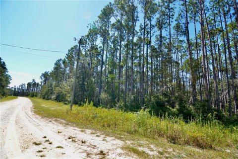 Land in Perry, Florida № 2166635 - photo 22