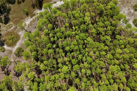 Land in Perry, Florida № 2166635 - photo 16