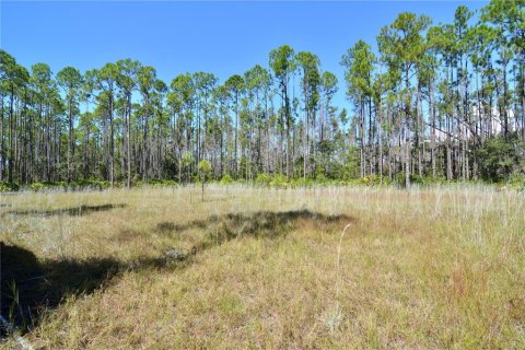 Land in Perry, Florida № 2166635 - photo 4