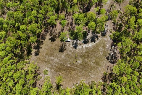 Land in Perry, Florida № 2166635 - photo 17