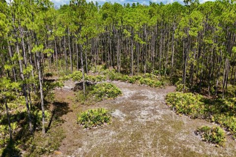 Land in Perry, Florida № 2166635 - photo 3
