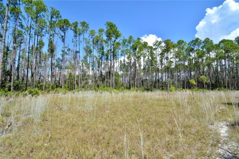Land in Perry, Florida № 2166635 - photo 21