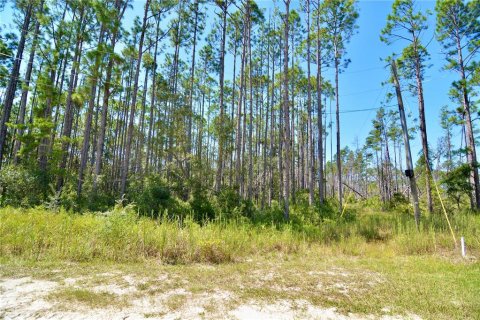 Land in Perry, Florida № 2166635 - photo 23