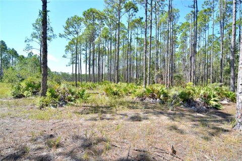 Land in Perry, Florida № 2166635 - photo 6
