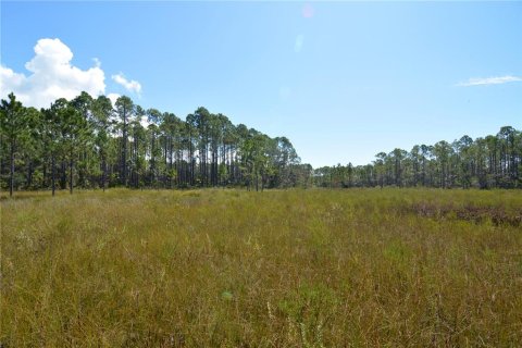 Land in Perry, Florida № 2166635 - photo 12