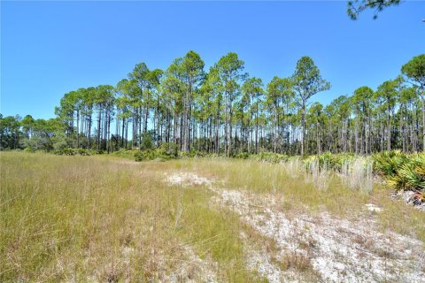 Land in Perry, Florida № 2166635 - photo 8