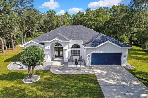 Villa ou maison à Homosassa, Floride 3 chambres, 217.48 m2 № 2398806