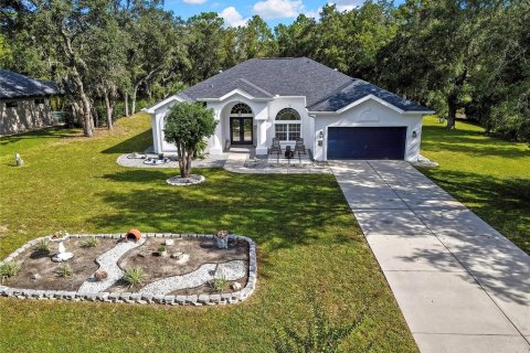 Villa ou maison à vendre à Homosassa, Floride: 3 chambres, 217.48 m2 № 2398806 - photo 3