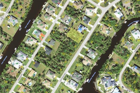 Land in Port Charlotte, Florida № 2162332 - photo 2
