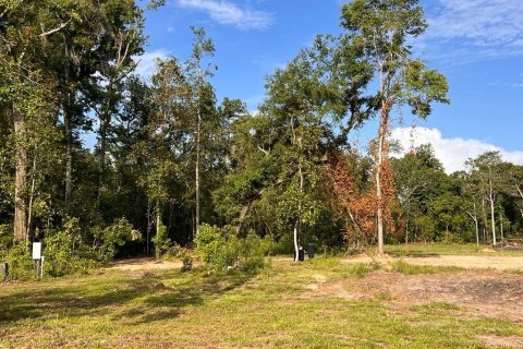 Land in Branford, Florida № 1833498 - photo 25