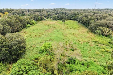 Land in Seffner, Florida № 2396384 - photo 5