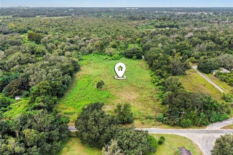 Land in Seffner, Florida № 2396384 - photo 8