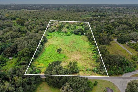 Land in Seffner, Florida № 2396384