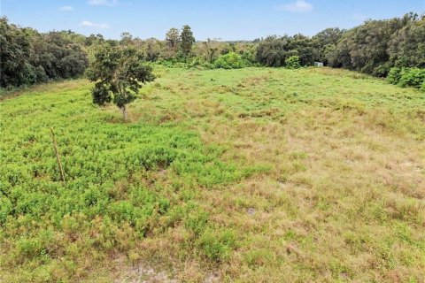 Land in Seffner, Florida № 2396384 - photo 3