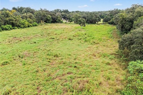 Land in Seffner, Florida № 2396384 - photo 7