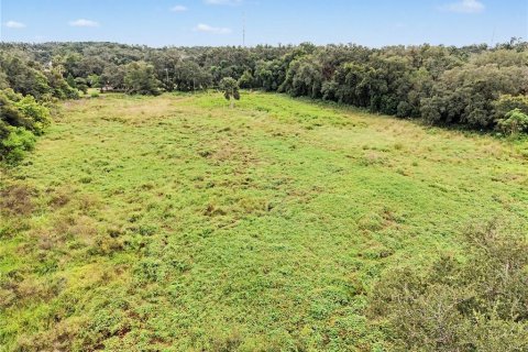 Land in Seffner, Florida № 2396384 - photo 4