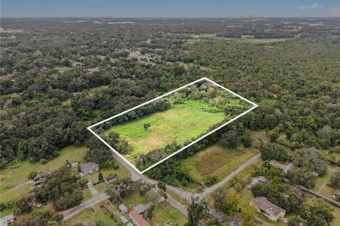 Land in Seffner, Florida № 2396384 - photo 2