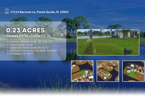 Land in Punta Gorda, Florida № 1918275 - photo 4