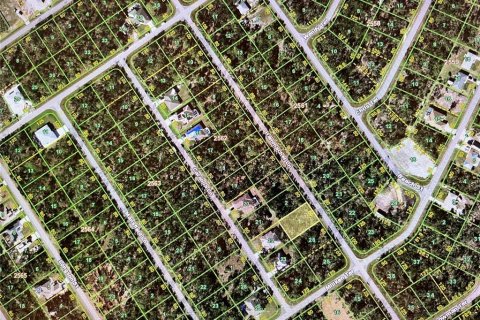 Land in Port Charlotte, Florida № 2163003 - photo 2