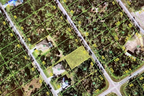 Land in Port Charlotte, Florida № 2163003