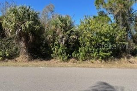 Land in Port Charlotte, Florida № 2159647
