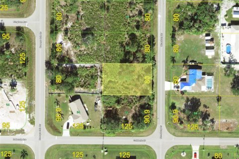 Land in Port Charlotte, Florida № 2159647 - photo 2