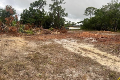 Купить земельный участок в Лихай-Эйкерс, Флорида № 1768828 - фото 9