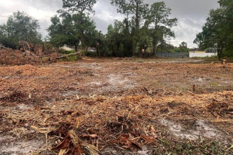 Купить земельный участок в Лихай-Эйкерс, Флорида № 1768828 - фото 4