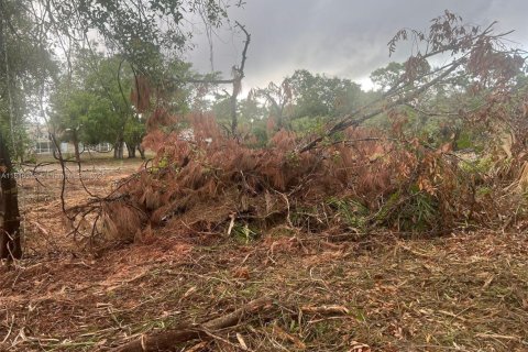 Купить земельный участок в Лихай-Эйкерс, Флорида № 1768828 - фото 10